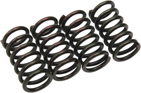 Clutch Spring Kit Black, 1, nordicamoto.ro