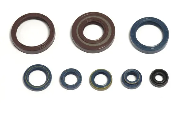 Engine Oil Seal-608b111871e76e613c1436b744651cb7.webp