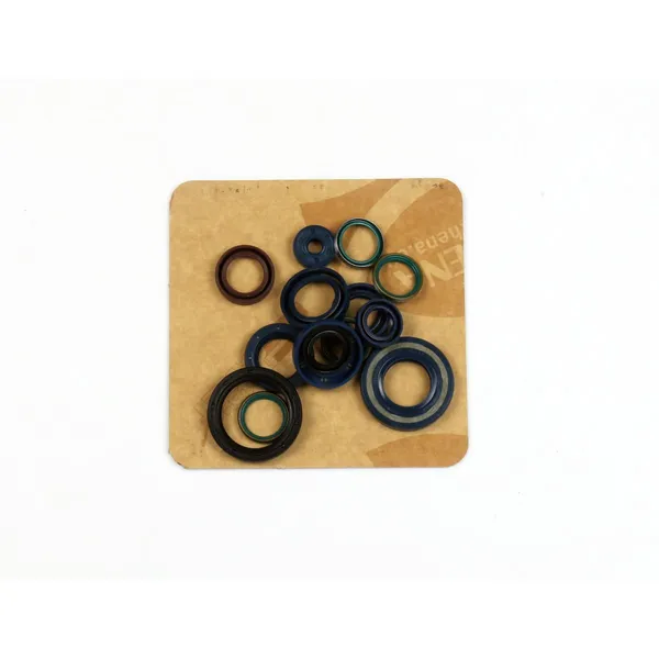 Engine Oil Seals Kit-0