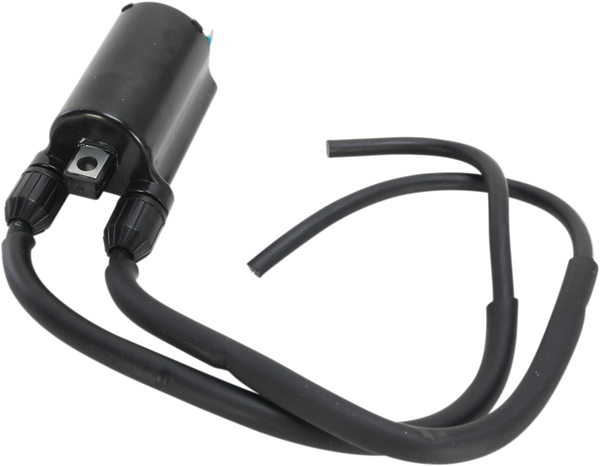 Oe-style Replacement Ignition Coil Black-1