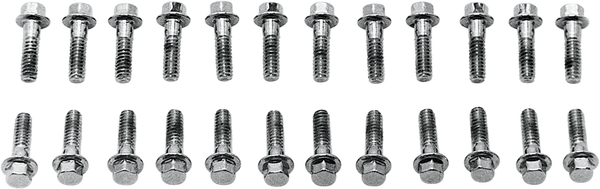Valve Cover Screw Kit Silver, 1, nordicamoto.ro