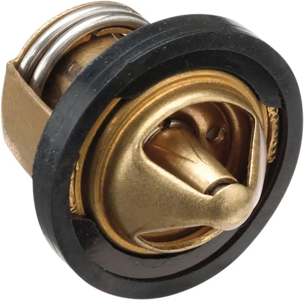 Replacement Thermostat 