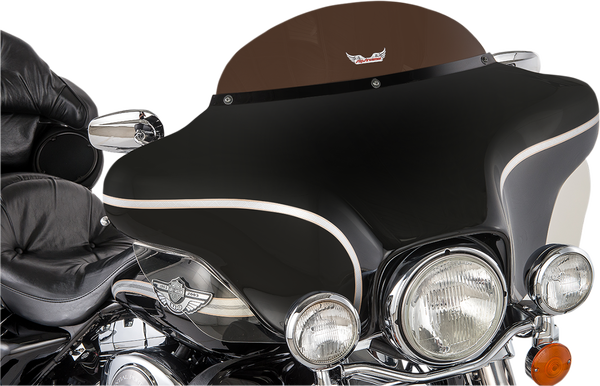Replacement  Windshield Gray, 1, nordicamoto.ro