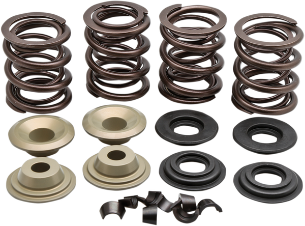 Complete Valve Spring Kit, 2, nordicamoto.ro