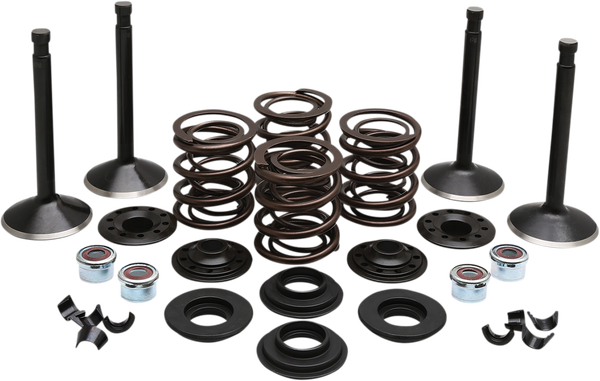 Engine Kit, 1, nordicamoto.ro