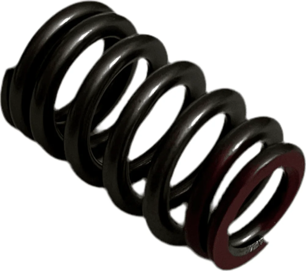 VALVE SPRING