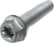 HH collar screw M6x30 TX30-0