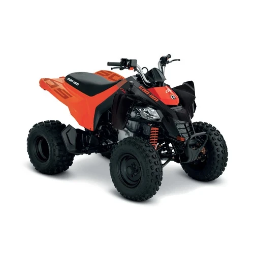 ATV Copii Can-Am DS 250 INT '26