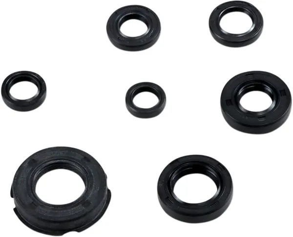 MOOSE RACING Oil Seal Kit -0
