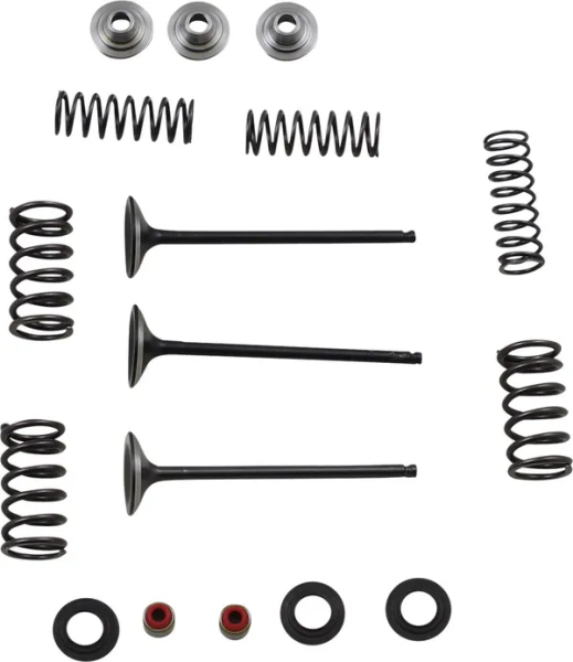 MOOSE RACING Stainless Intake Valve And Spring Kit 