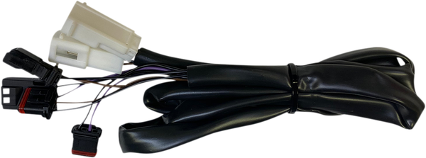 Low Rider Integrated Taillight Harness Black, 1, nordicamoto.ro