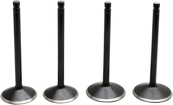 Engine Valve Kit, 1, nordicamoto.ro