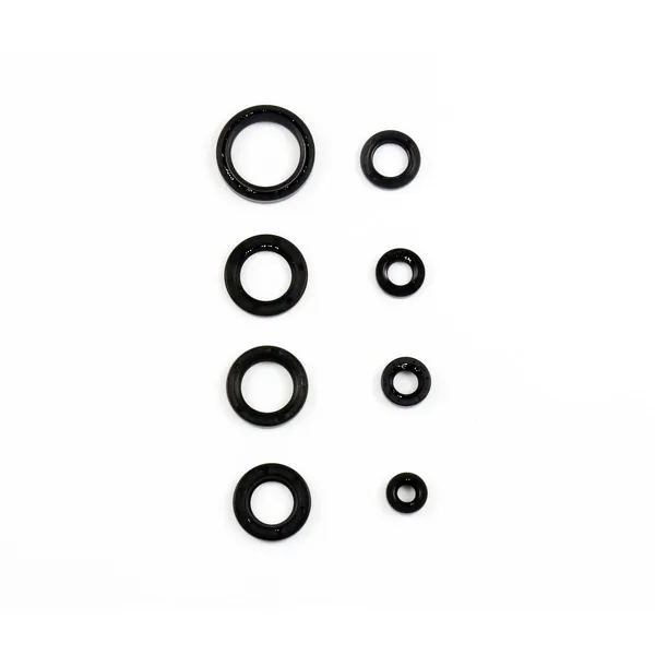 Oil Seal Kit-0