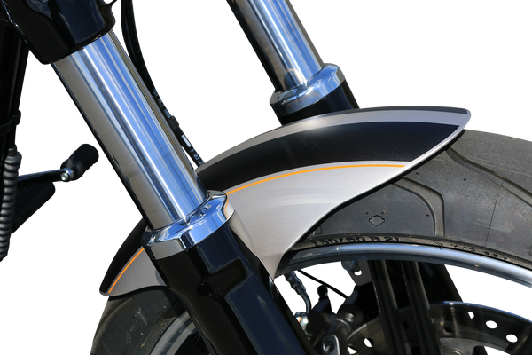 Front  Fender Raw, 2, nordicamoto.ro