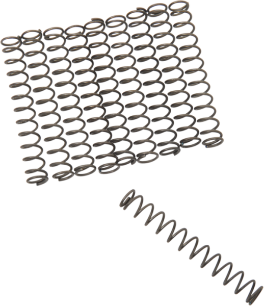 Oil Pump Relief Valve Springs, 2, nordicamoto.ro