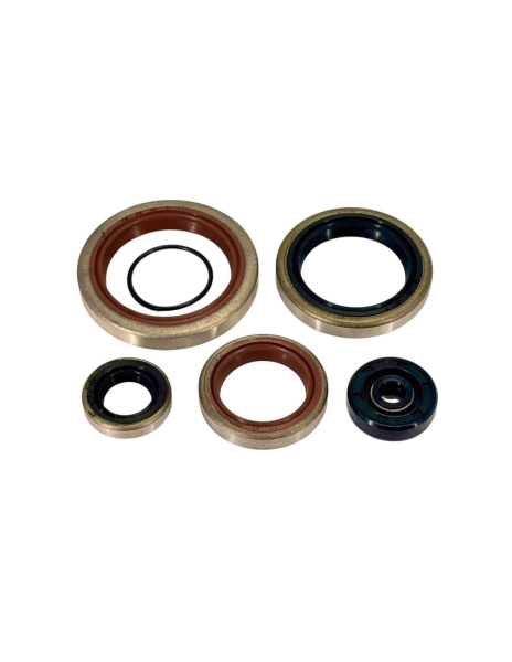 Set simeringuri motor Beta RR 250/300 2T '18-'26/ Xtrainer '15-'26 Enduro Expert, 3, nordicamoto.ro