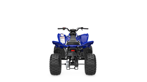 ATV YAMAHA YFM110R PENTRU COPII, 5, nordicamoto.ro