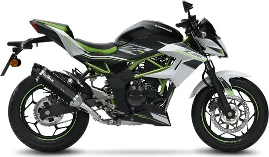 Tobă de eșapament LeoVince LV One Evo Carbon Slip-On pentru Kawasaki Ninja 125 (2019-2024), 2, nordicamoto.ro
