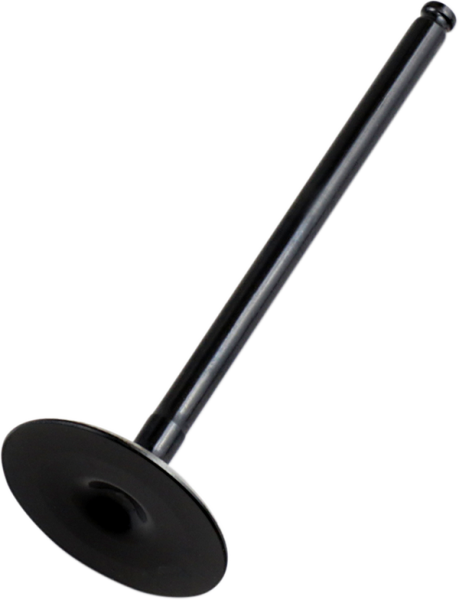 Replacement Valve Black, 1, nordicamoto.ro