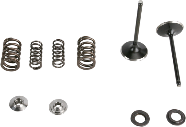 Stainless Steel Conversion Valve And Spring Kit, 1, nordicamoto.ro