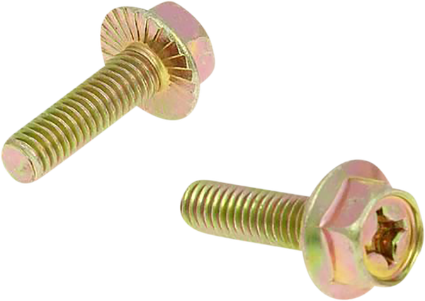Exhaust Screws, 2, nordicamoto.ro