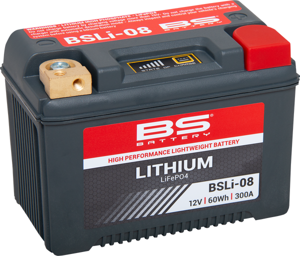 Lithium Lifepo4 Battery Black 