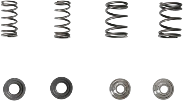 Valve Spring Kit, 1, nordicamoto.ro