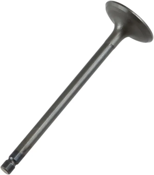 Engine Valve