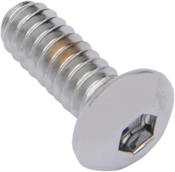 Replacement Button-head Bolts Silver, 2, nordicamoto.ro