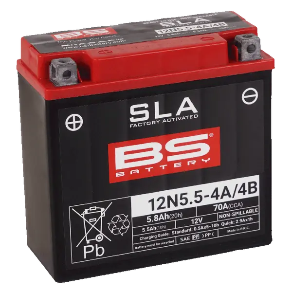 BS BATTERY Maintenance-free Battery Black -1