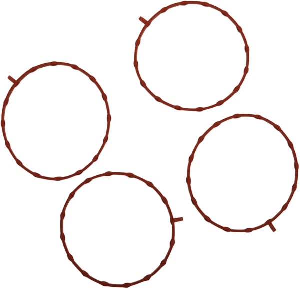 Intake Manifold Seal, 1, nordicamoto.ro