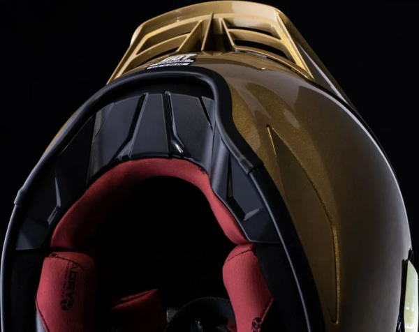 Casca Icon Domain Cornelius Gold-11