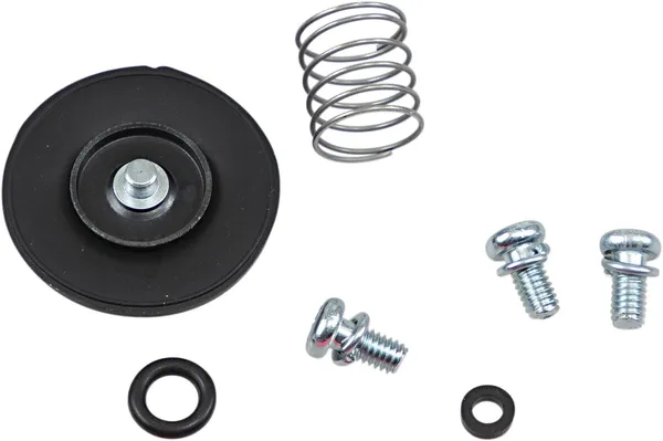 Accelerator Pump Rebuild Kit