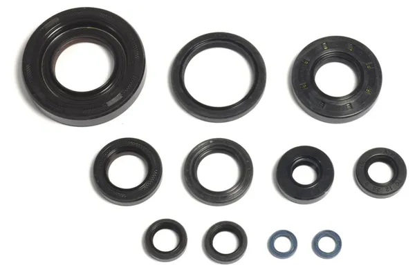 Engine Oil Seal-1
