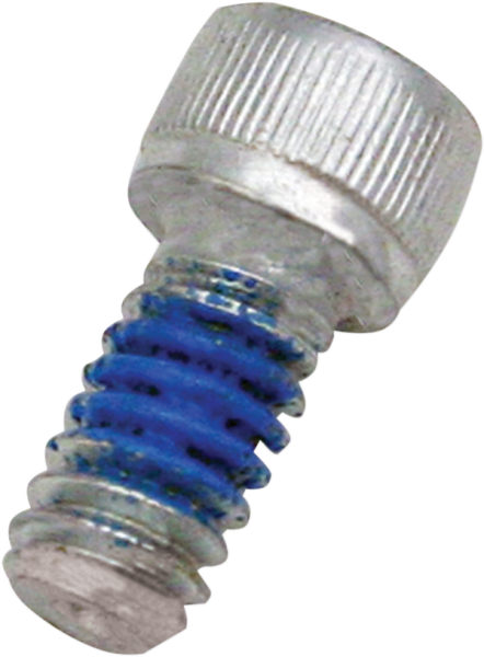 Backplate Screw Silver, 1, nordicamoto.ro