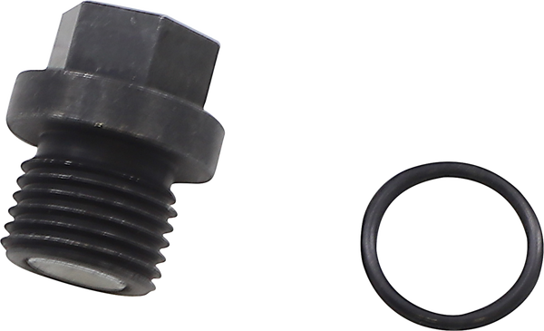 Front Differential Drain Plug, 1, nordicamoto.ro