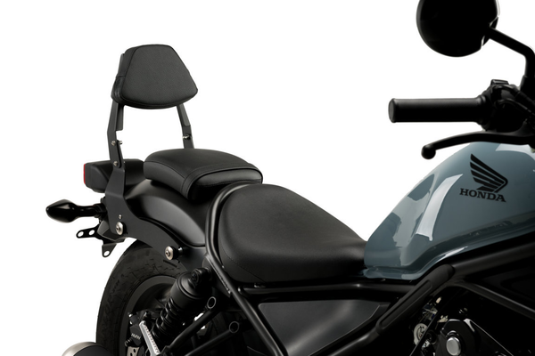 Detachable Sissy Bar Chrome, 1, nordicamoto.ro