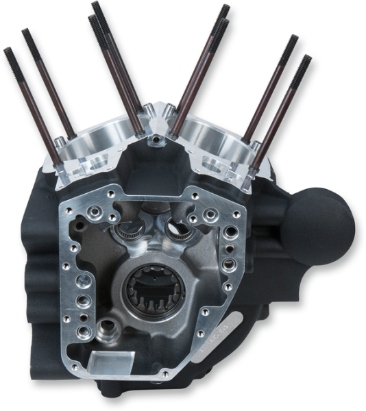Dyna Engine Case Black, 1, nordicamoto.ro