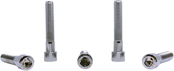 Replacement Socket Head Bolts Silver, 1, nordicamoto.ro