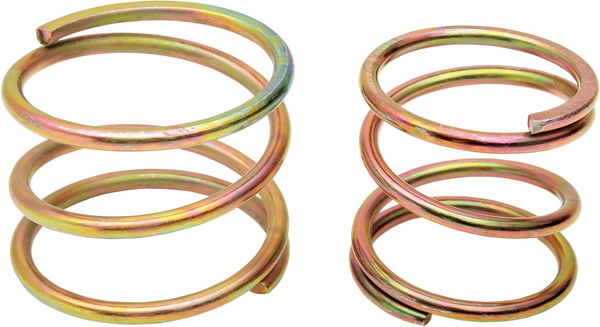 Heavy-duty Clutch Spring Set, 1, nordicamoto.ro