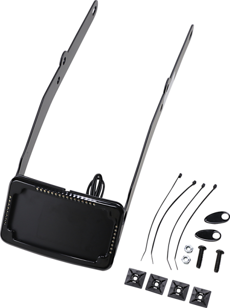 Curved License Plate Frame And Mount With License Plate Light Black, 3, nordicamoto.ro