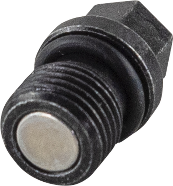 Engine Drain Plug, 4, nordicamoto.ro