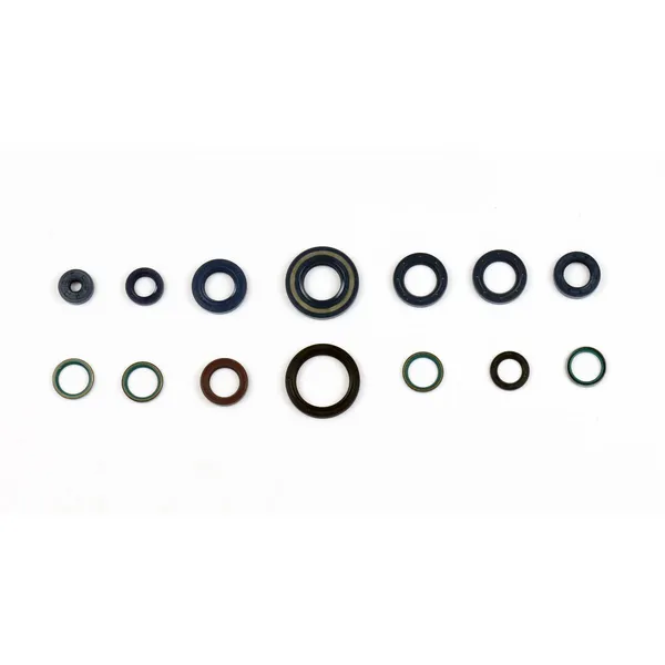 Engine Oil Seals Kit-1
