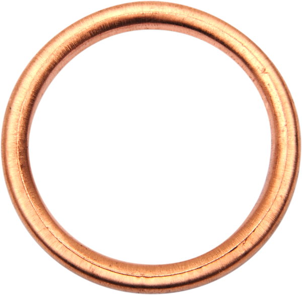 Exhaust Gasket Kit-7e5a7c74fa4f52c0a28297da0ae0dbeb.webp