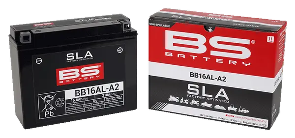 Sla Factory-activated Agm Maintenance-free Batteries Black-0
