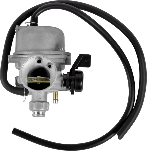 Replacement Carburetor -7f14c98ec96a96bf94197dfa42d5cb21.webp