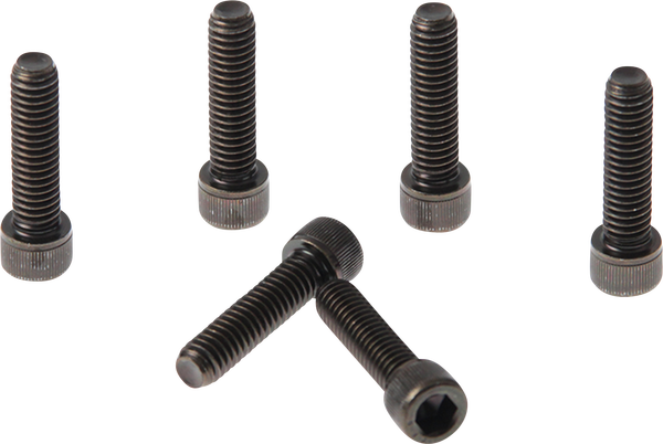 Fork Triple Clamp Screws Black, 2, nordicamoto.ro