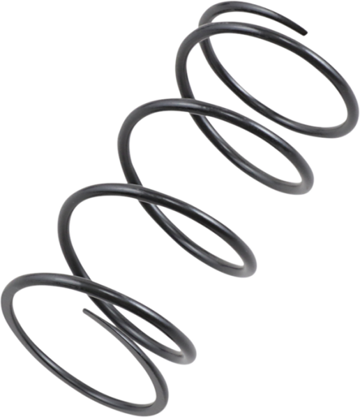 Secondary Clutch Spring Black, 1, nordicamoto.ro