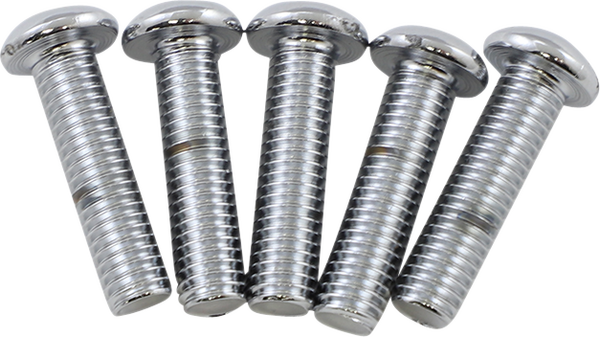 Disc Brake Bolt Kit Silver, 1, nordicamoto.ro