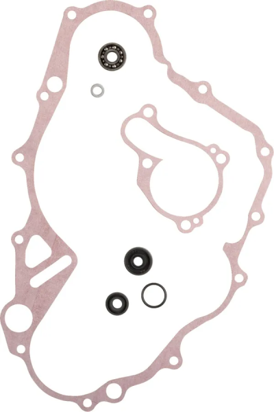 Water Pump Rebuild Kit